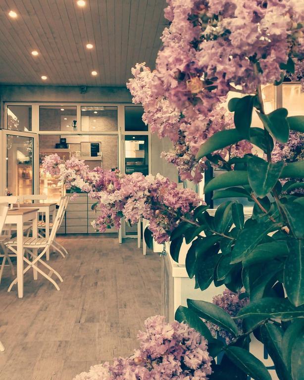Dream House Tsarevo Exterior foto